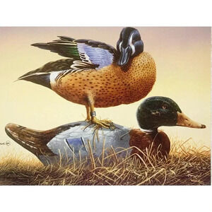 ☝️3/$15 ENCOURAGEMENT Leanin'Tree NEW 6/pk Greeting Cards Duck Mallards Lake VTG